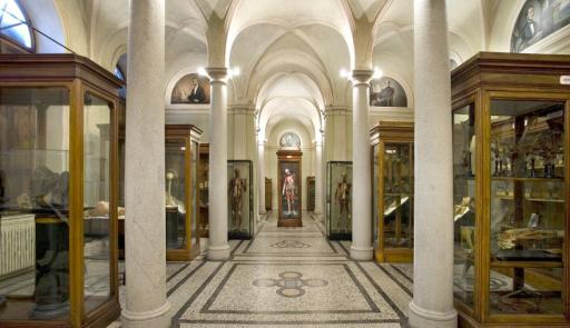 Museum of Human Anatomy “L. Rolando”