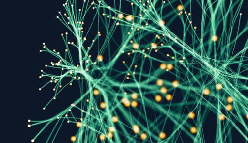 due mani che reggono un "universo digitale"