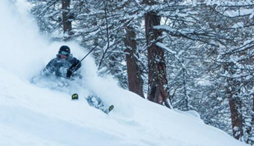 Sciatore che effettua una discesa in neve fresca