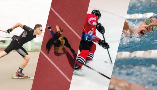 Banner realizzato con varie immagini di atleti: uno in azione sugli skiroll, una ragazza che corre in pista di atletica, due giocatori di hockey sulla pista di ghiaccio e una ragazza che nuota in piscina