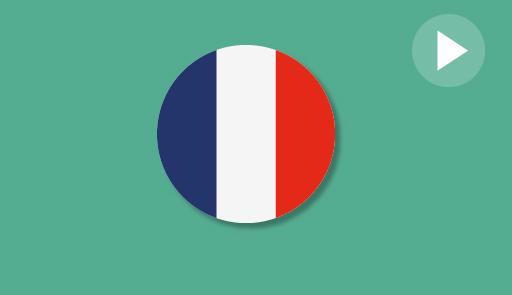 French flag