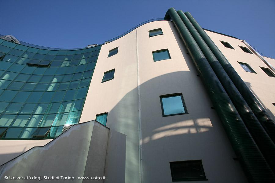 Medicine and Surgery | University of Turin