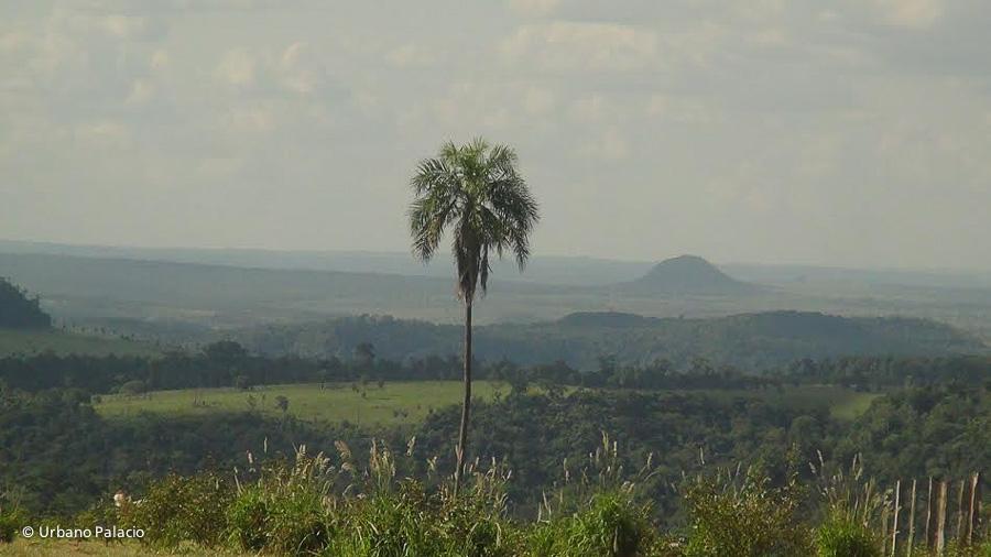 Paraguay - Comunitá Pai Tavytera di Cerro Guasú