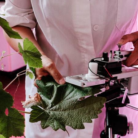 Laboratory - Agricultural Sciences