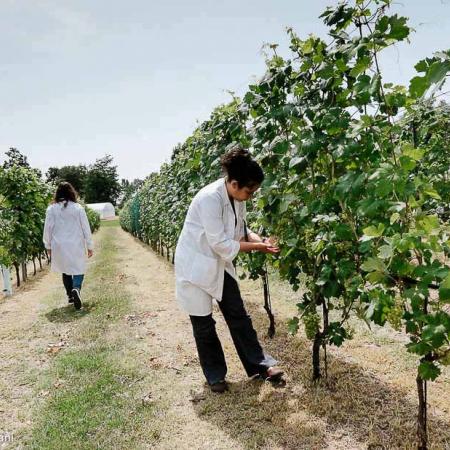 Agricultural Sciences