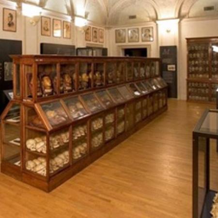 Hall of Museum of Criminal Anthropology “Cesare Lombroso”