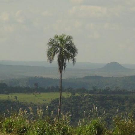 Paraguay - Comunitá Pai Tavytera di Cerro Guasú