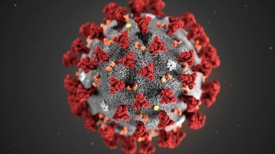 Coronavirus - Source: Repubblica.it Coronavirus