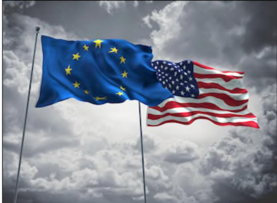 Euro-American Relations in the Age of Globalization