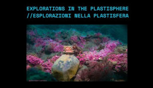 Explorations in the Plastiphere