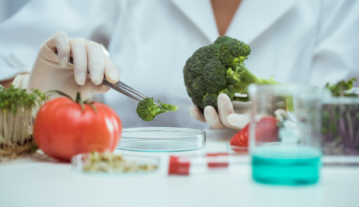 Ricercatrice che fa esperimenti con un broccolo e un pomodoro