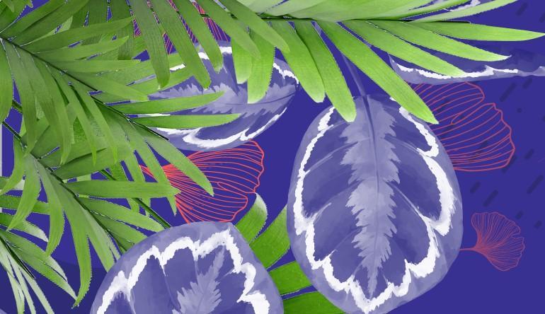In grafica una foglia di palma su sfondo azzurro