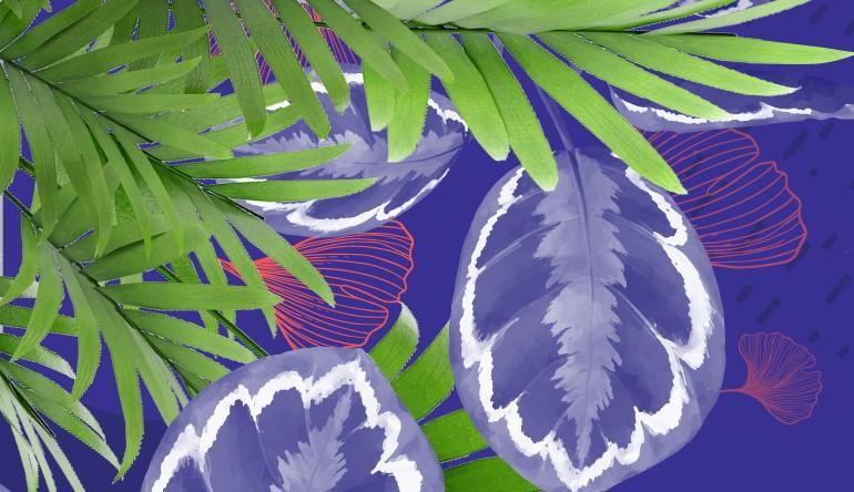 #SumItUp competition In grafica una foglia di palma su sfondo azzurro