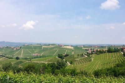 Langhe