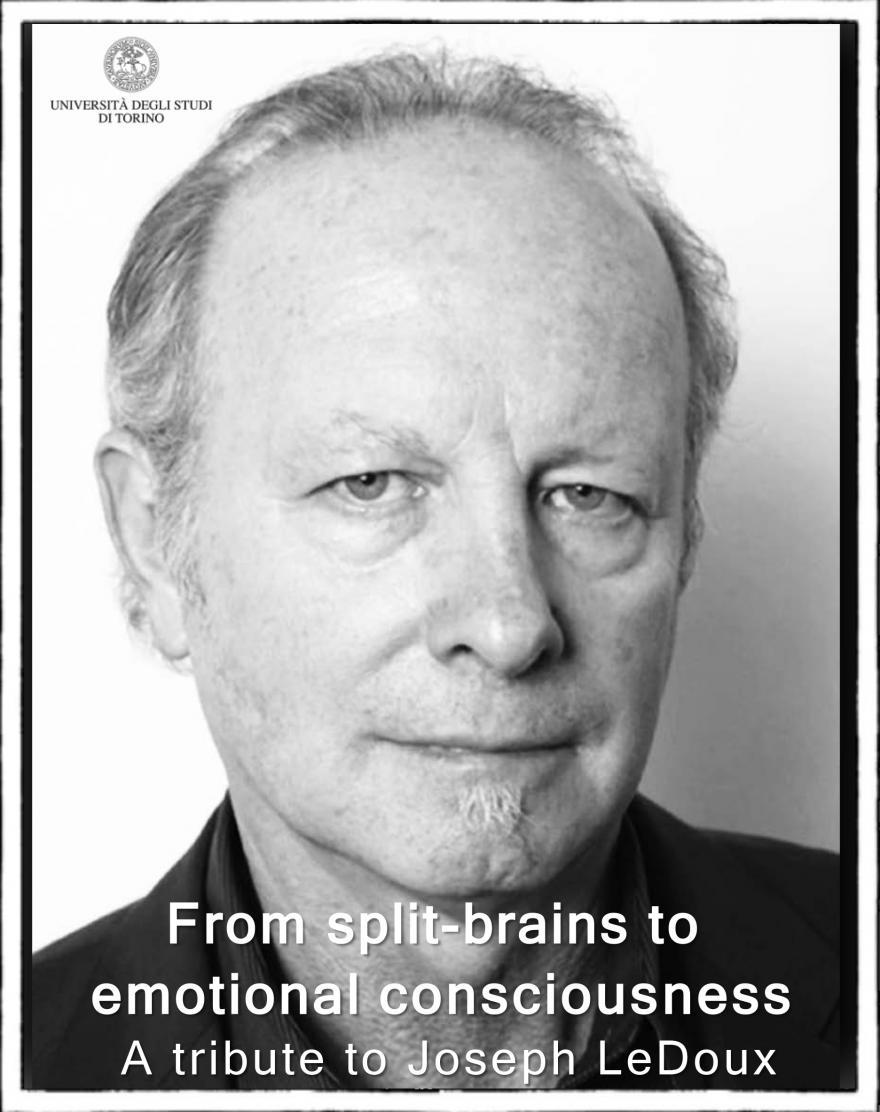 From split-brains to emotional consciousness